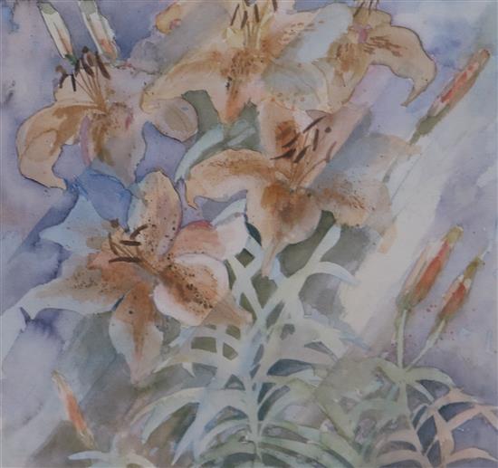 Three artist proof prints by Shirley Trevena, 57 x 53cm and another Island Paradise